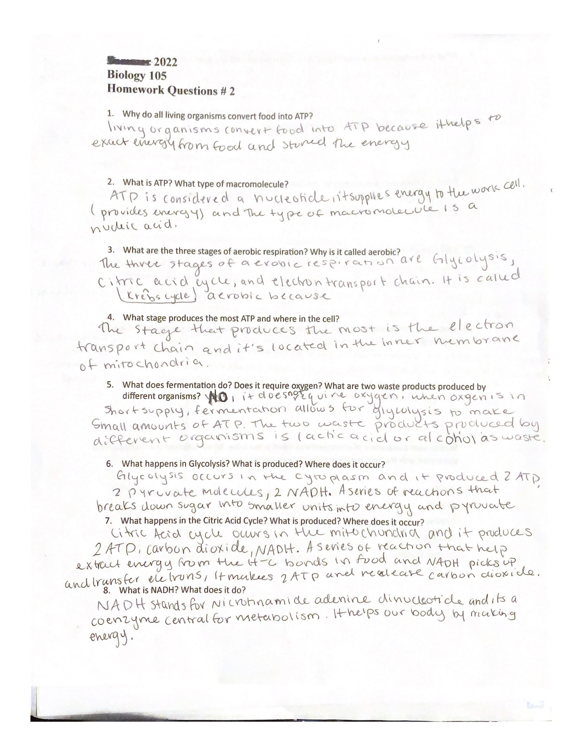 (bio) Homework Worksheet #2 - Bio 105 - Studocu