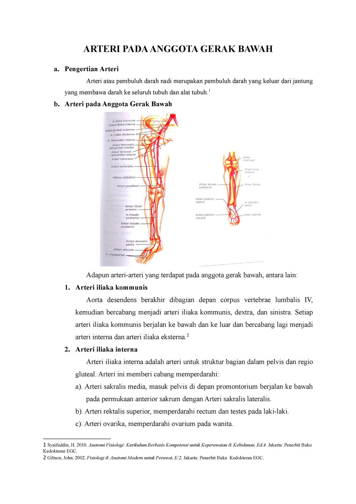 4 Arteri Ekstremitas Bawah Arteri Pada Anggota Gerak Bawah A