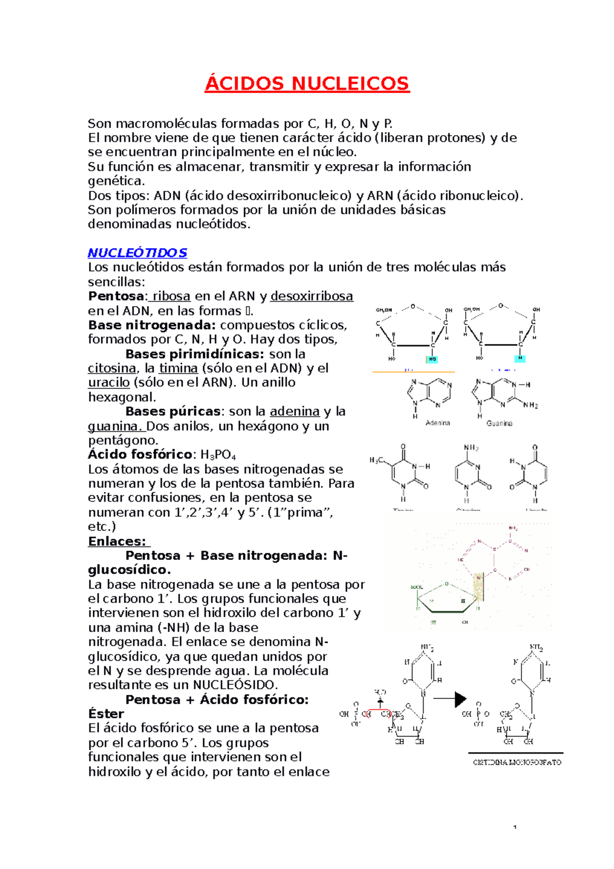 6-Á Cidos Nucleicos - ÁCIDOS NUCLEICOS Son Macromoléculas Formadas Por ...