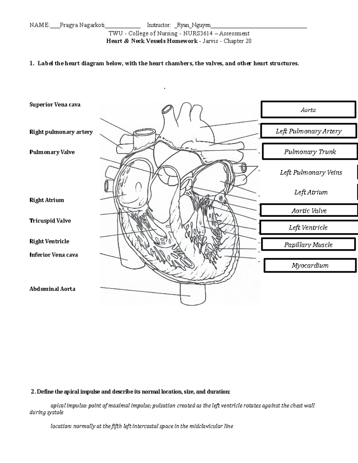 HW Heart Neck Vessels Ch20-SP22 - TWU - College of Nursing - NURS3614 ...