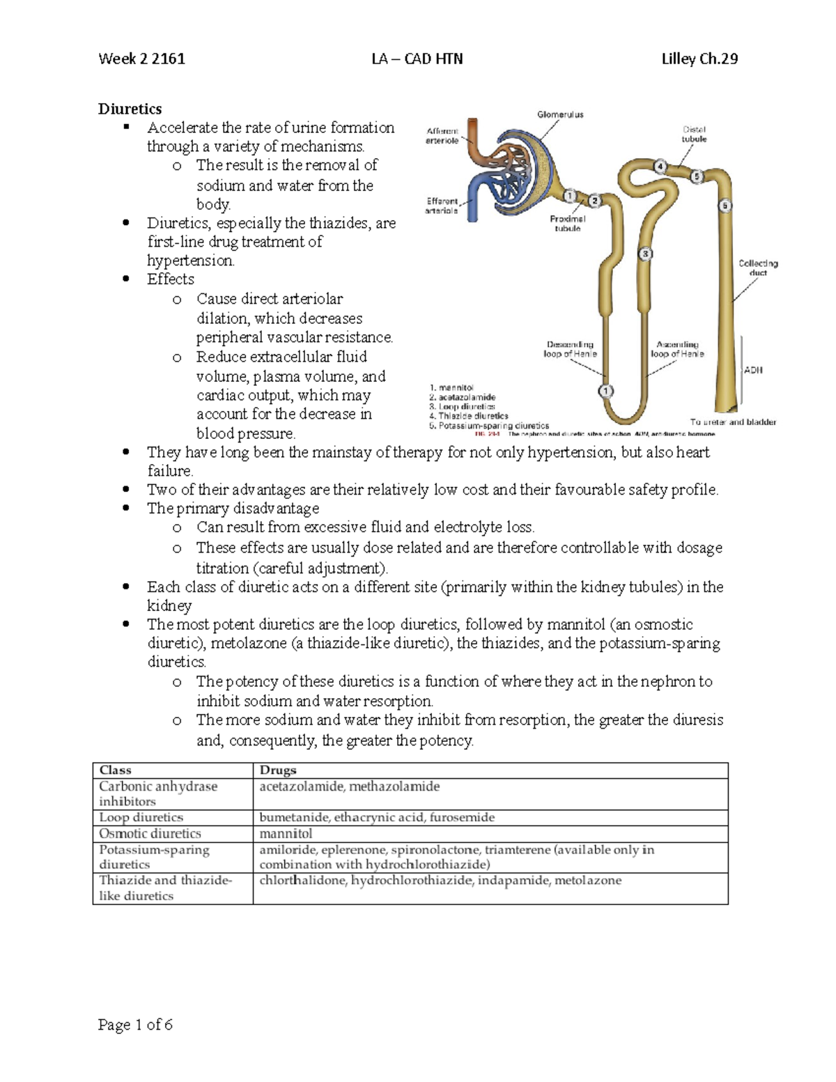 2161 Week 2 - Lilley Ch 29 Diuretics - Diuretics Accelerate the rate of ...