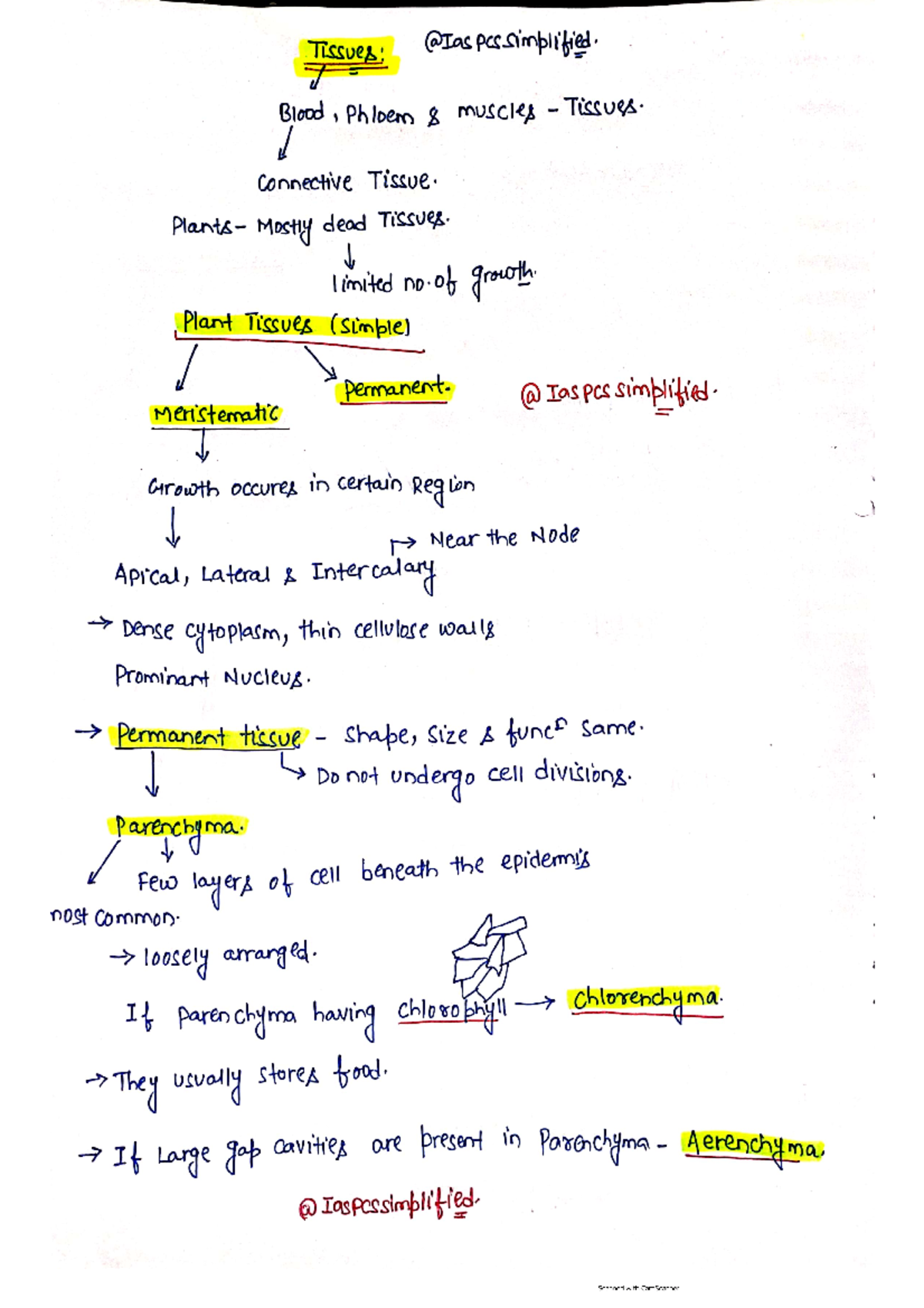 Tissue @ Ncert Simplified - Computer Science - Studocu