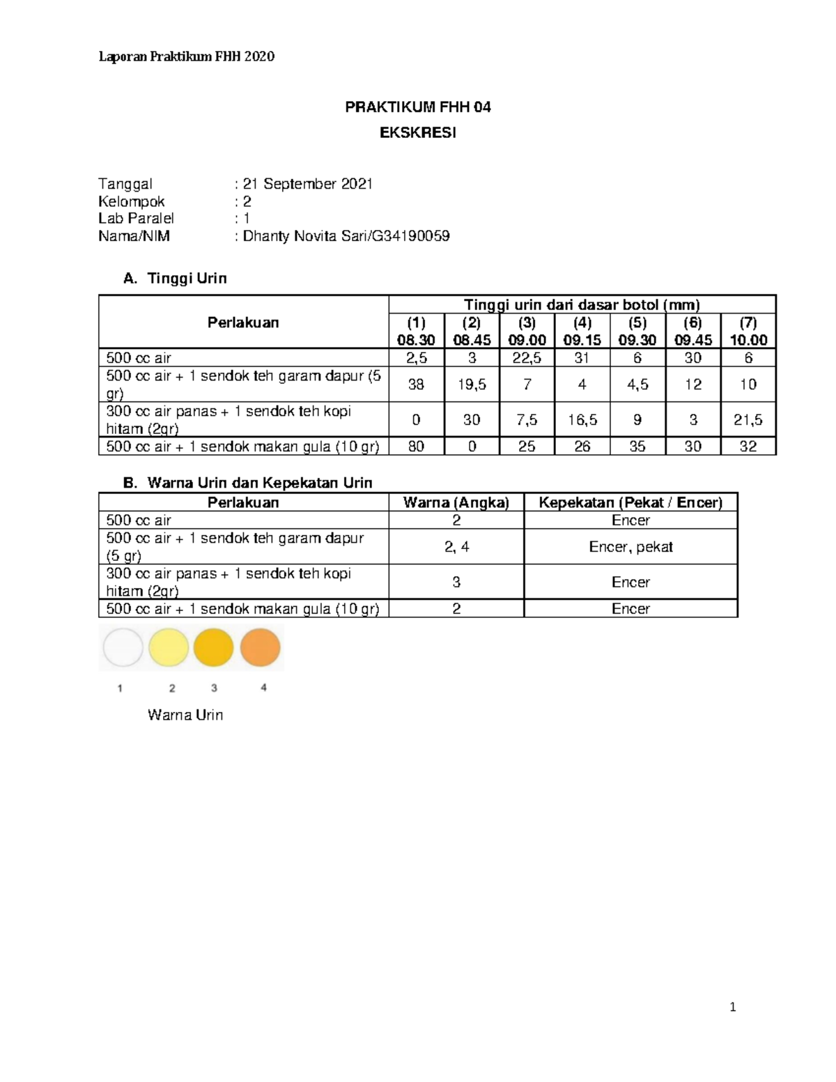 Sistem Ekskresi Hewan - Laporan Praktikum FHH 2020 1 PRAKTIKUM FHH 04 ...