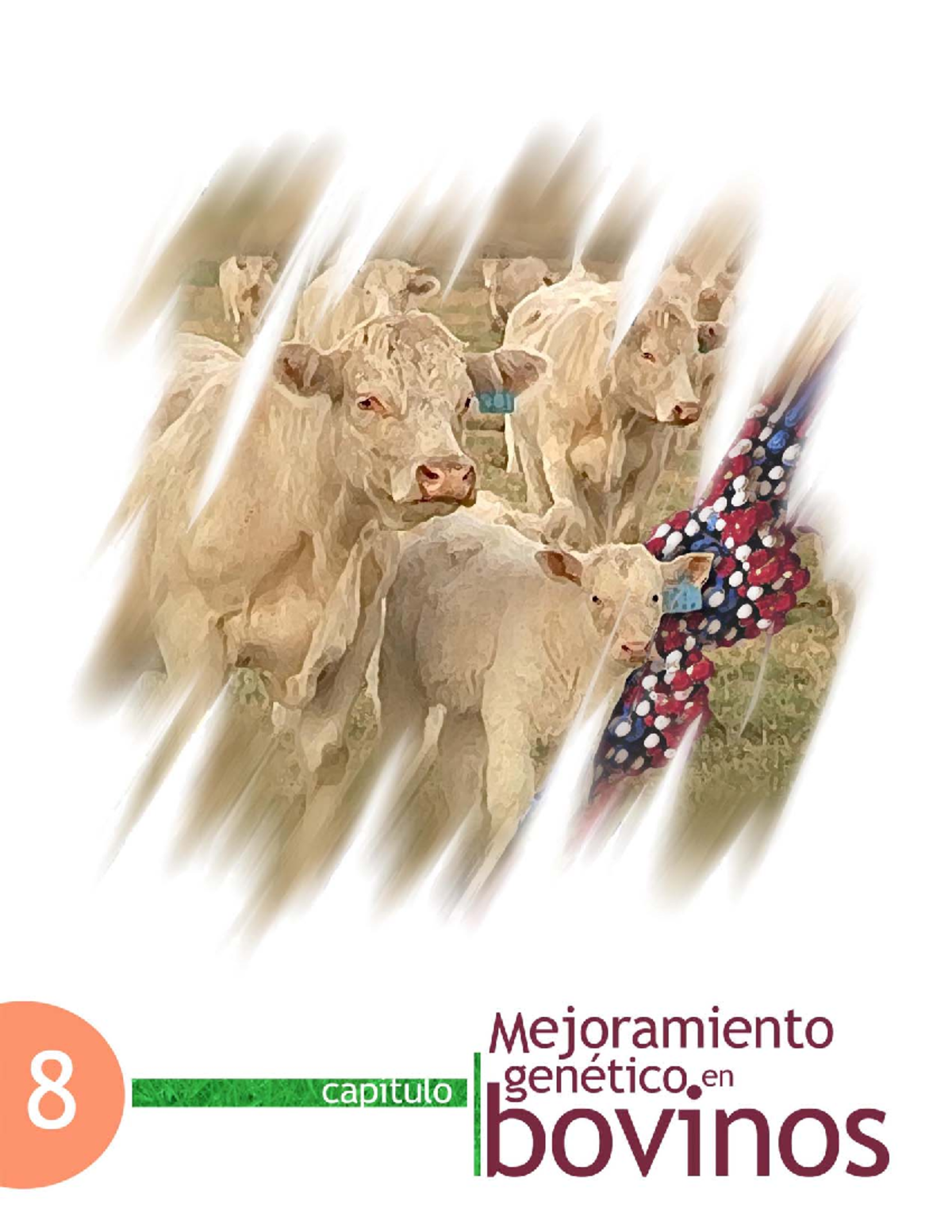 Mejoramiento Geneticobobino - Capítulo 8. Mejoramiento Genético En ...