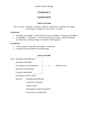 Arbeitsblätter Rudimentäre Organe – lebendiger Evolutionsbeleg ...