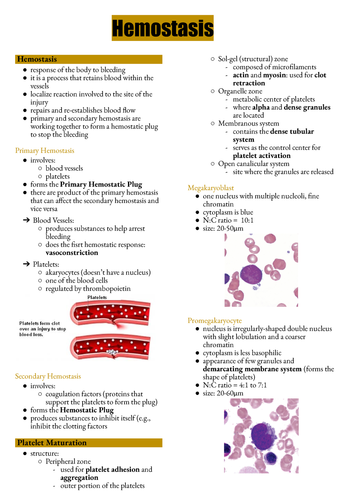 Hematology Hemostasis Hemostasis Hemostasis