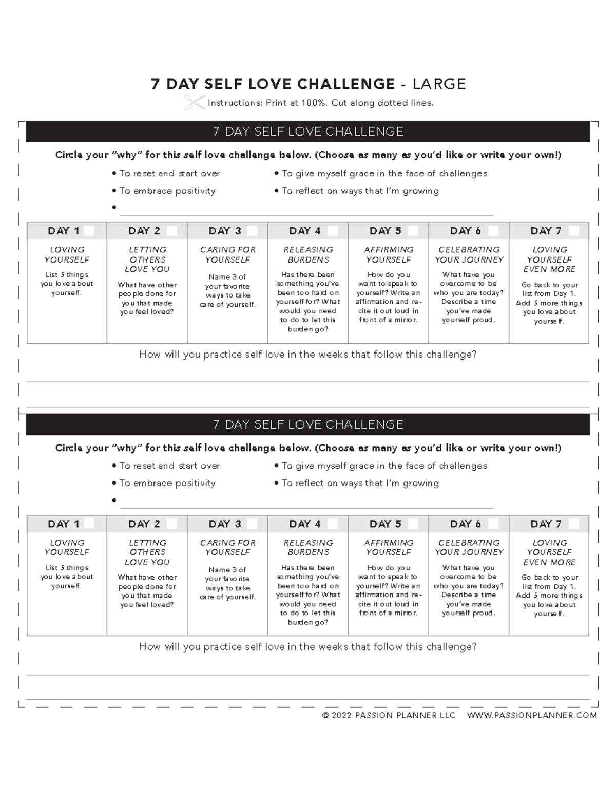 7 Day Self Love Challenge Large - © 2022 PASSION PLANNER LLC WWW ...