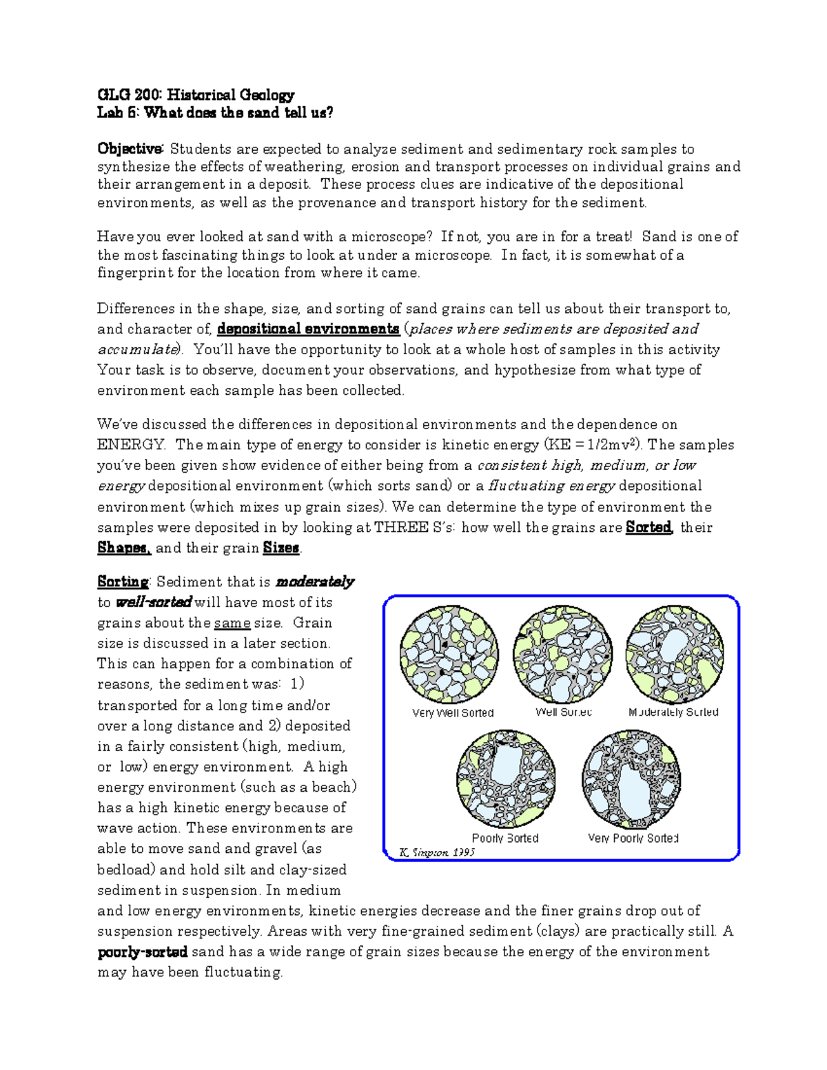 Lab5 Sand Lab Discussion - GLG 20 0: Historical Geology Lab 5 : What ...