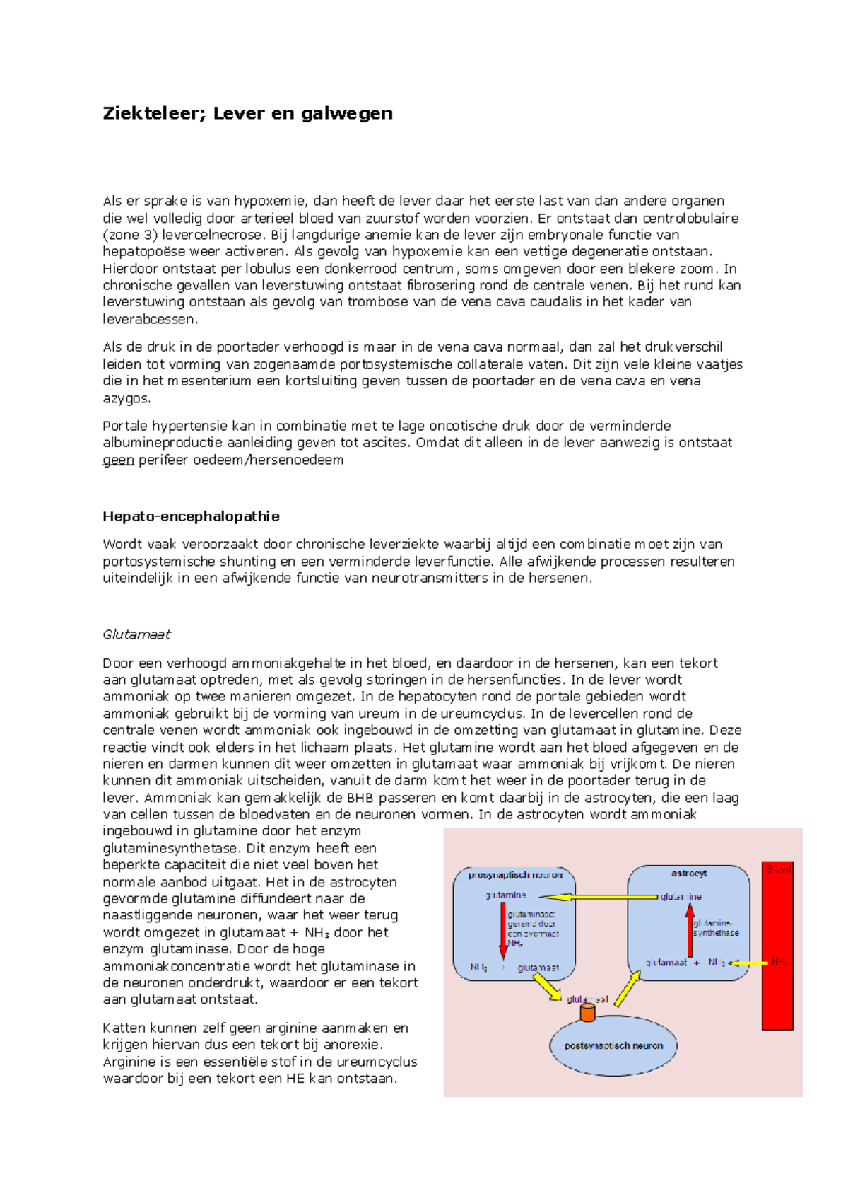 Ziekteleer; Lever en galwegen Er ontstaat dan centrolobulaire (zone 3