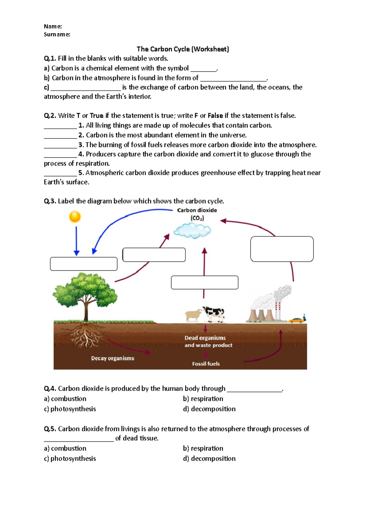 GHGH Grade 9 Science Academic Name Surname The Carbon Cycle