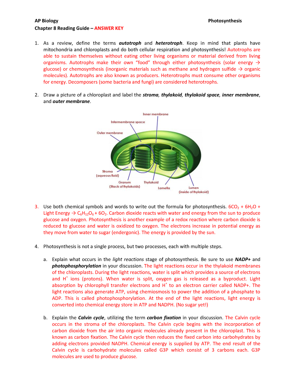 ap biology photosynthesis short answer questions