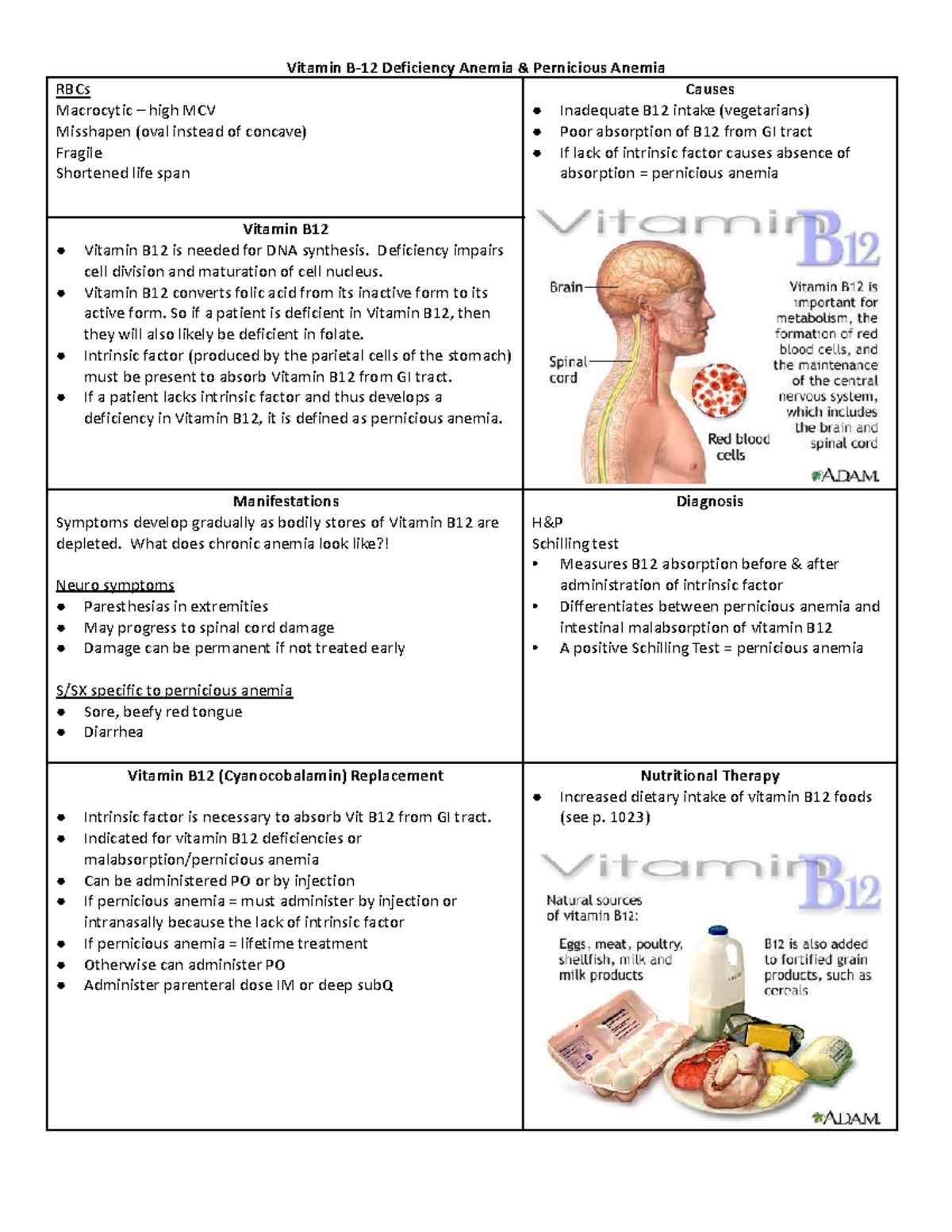 NRSG110 - Teacher Created Notes Over B12 Deficiency Anemia - Vitamin B ...