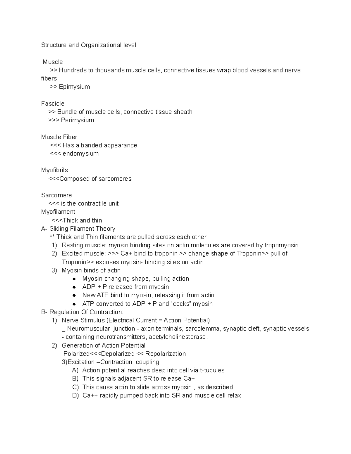 Structure and Organizational level Google Docs Structure and