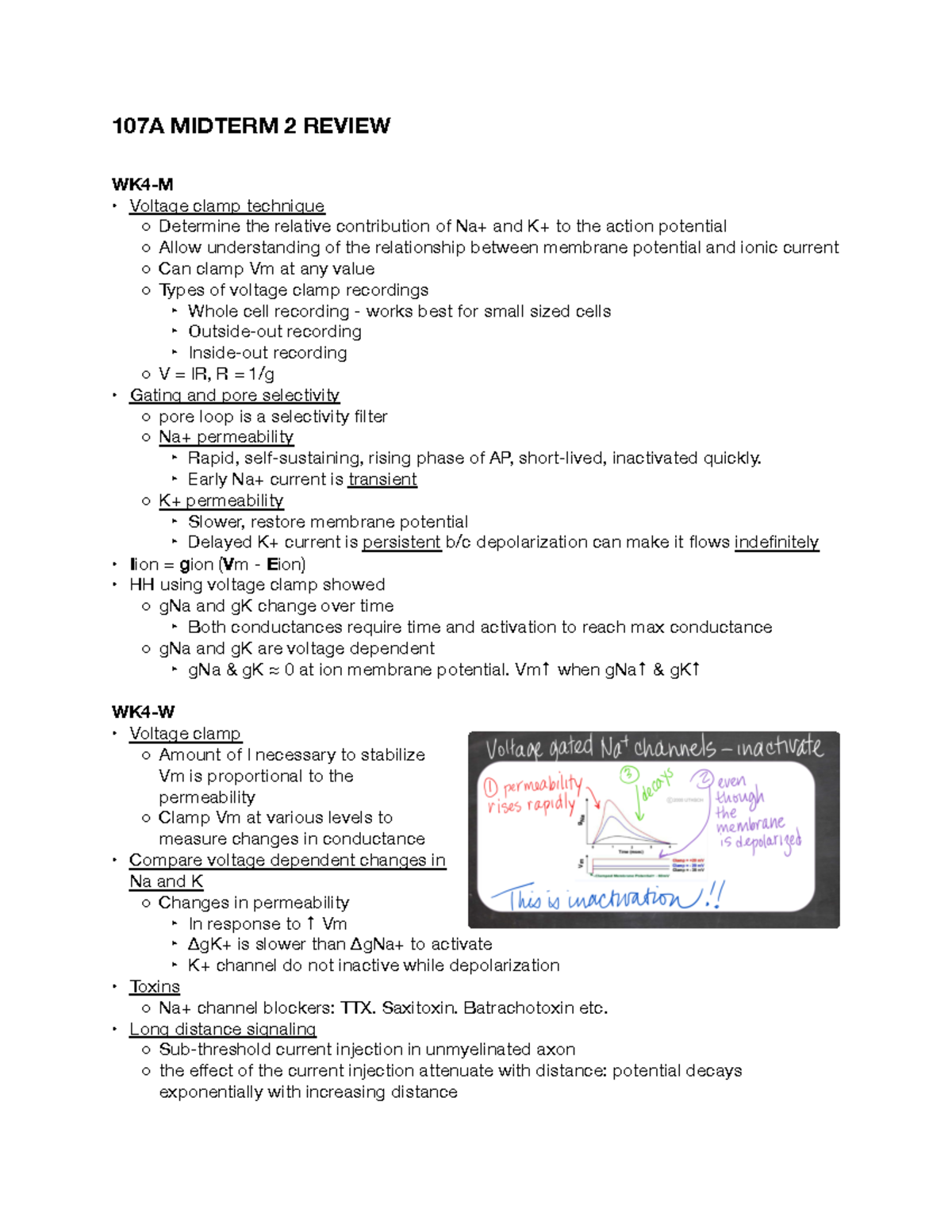 107a Midterm 2 Review - Summary Neuroanatomy And Physiology - 107A ...