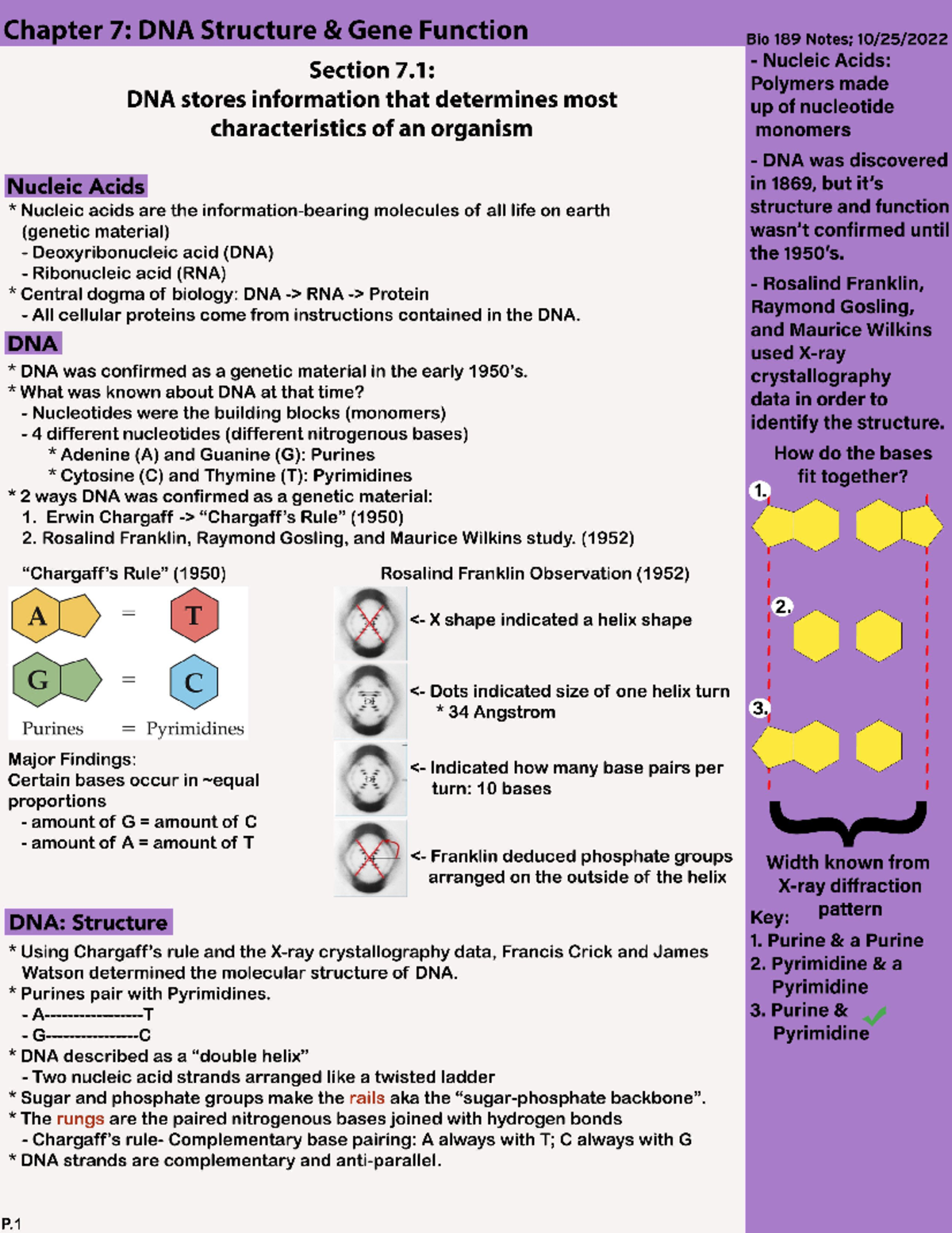Chapter 7 Section 1 DNA stores information that determines most characteristics of an organism
