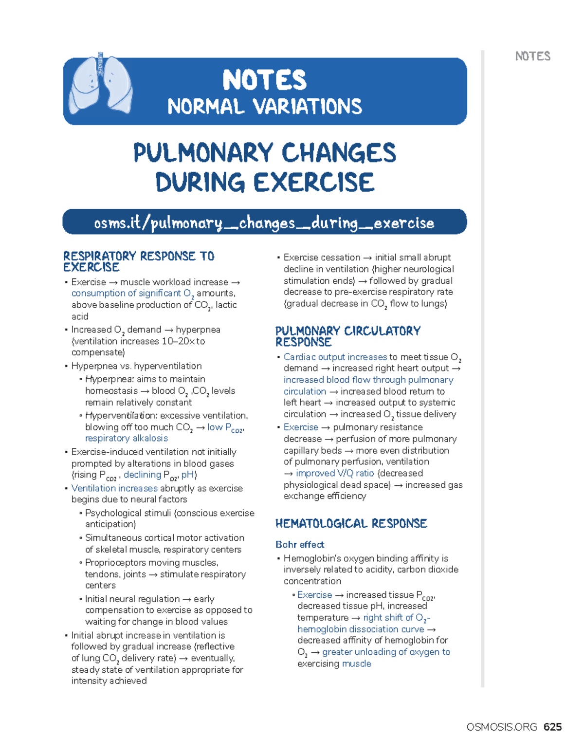 Normal variations of the respiratory system - NOTES RESPIRATORY ...