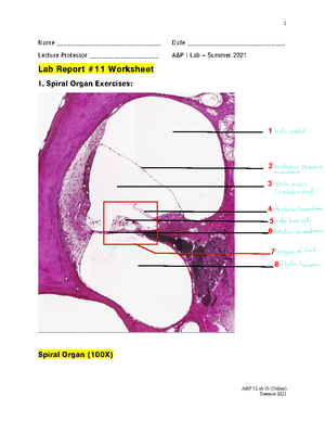 health science assignments