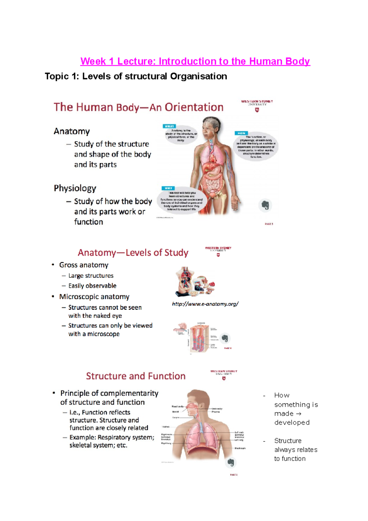 Human biology 10 grade презентация