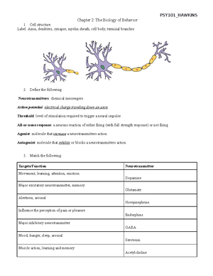 CH 3- consciousness - chapter 3 worksheet - HAWKINS-PSY101 W ...