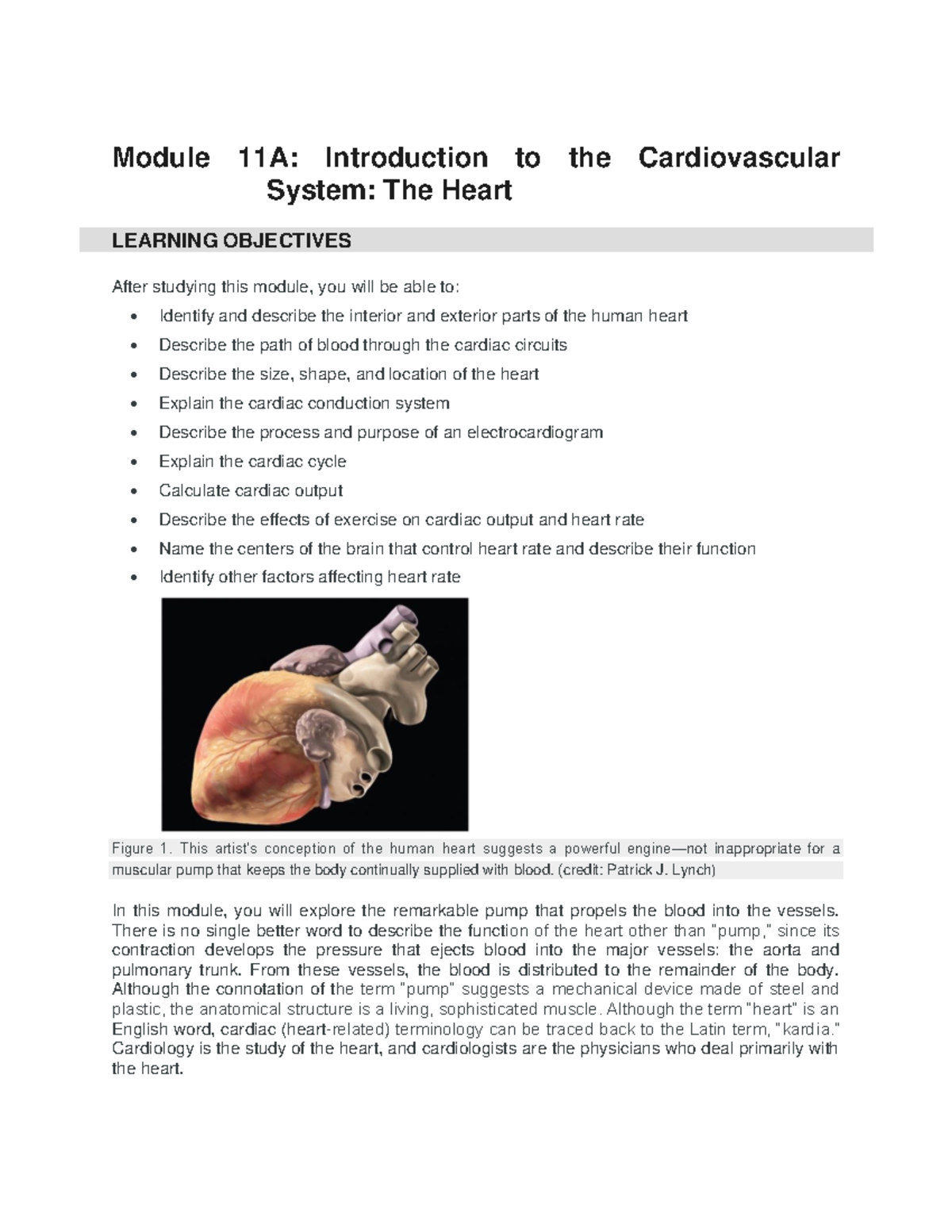 Chapter 11A - Cardiovascular System (Heart) - Module 11A: Introduction ...