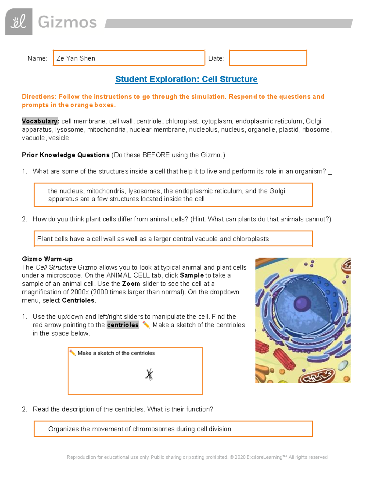 Gizmo Cell Structure - Name: Ze Yan Shen Date: Student Exploration ...