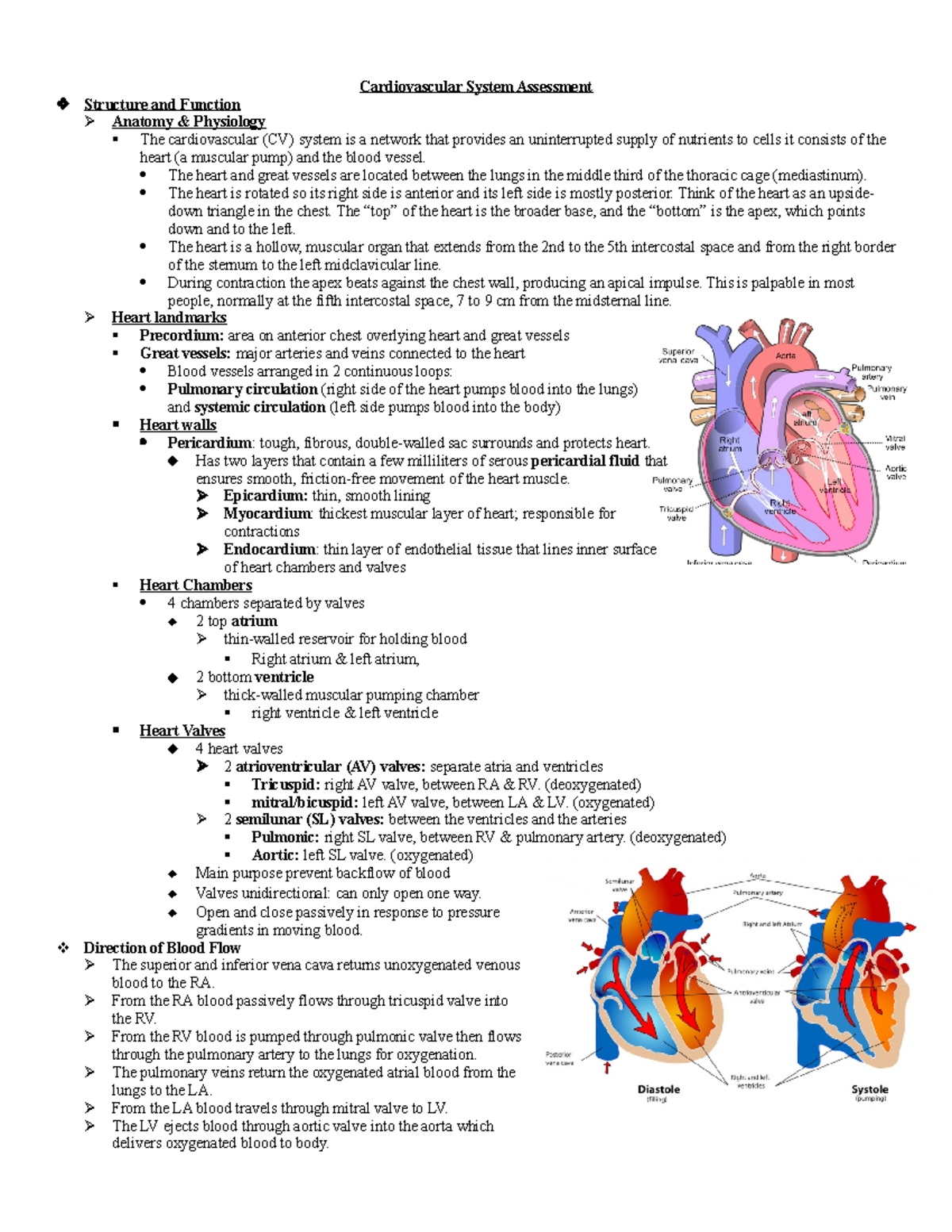 Cardiovascular System Assessment - The Heart And Great Vessels Are 