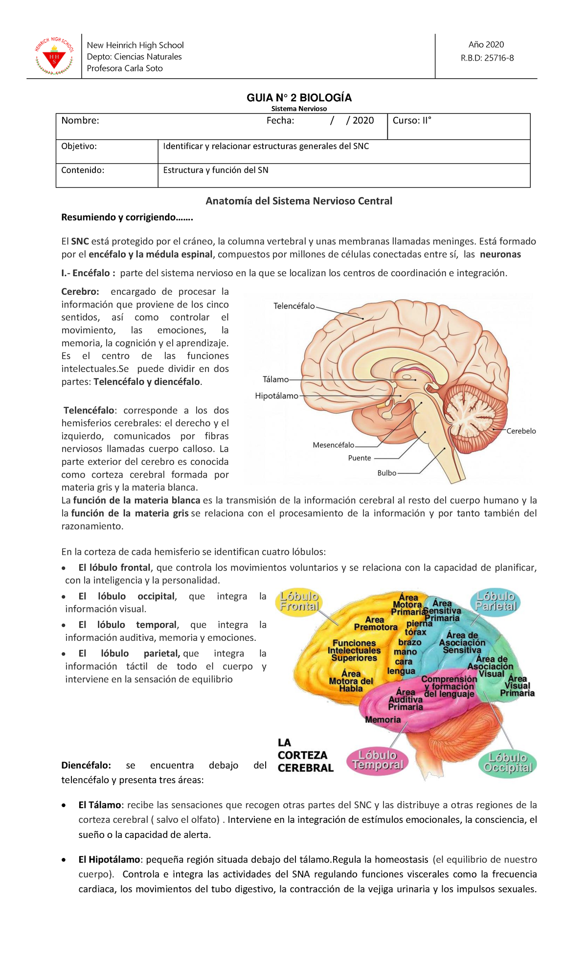 BIO IIMo Guia-2-Sistema-Nervioso 2020 - New Heinrich High SchoolDepto ...