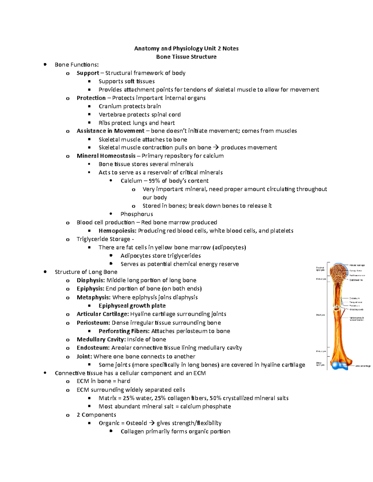 BIOL 430: Advanced Human Anatomy and Physiology I; Unit 2 - Bones ...