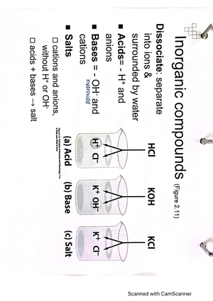 Nucleic Acids / DNA and RNA - BIOL 141 - Studocu