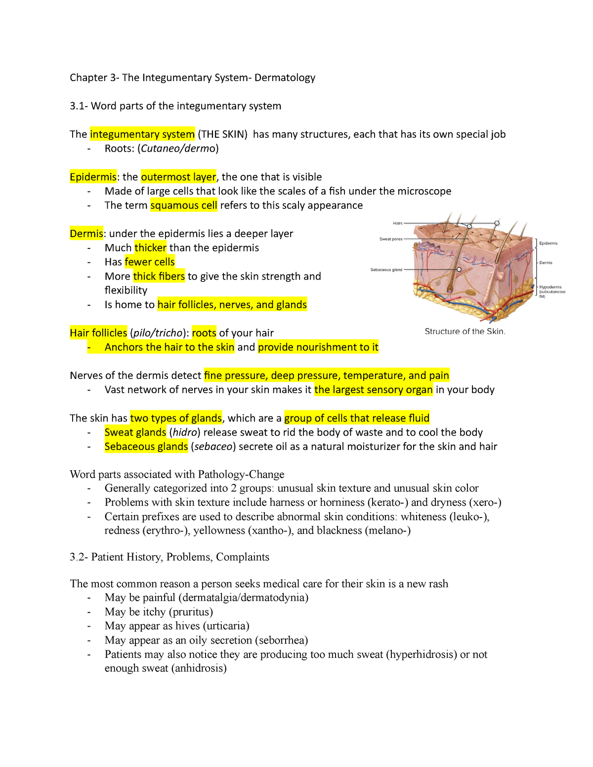 case study for chapter 3 medical terminology