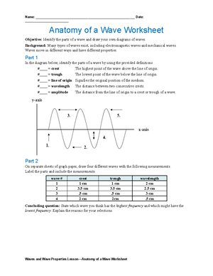anatomy-wave-worksheet-name-date-studocu