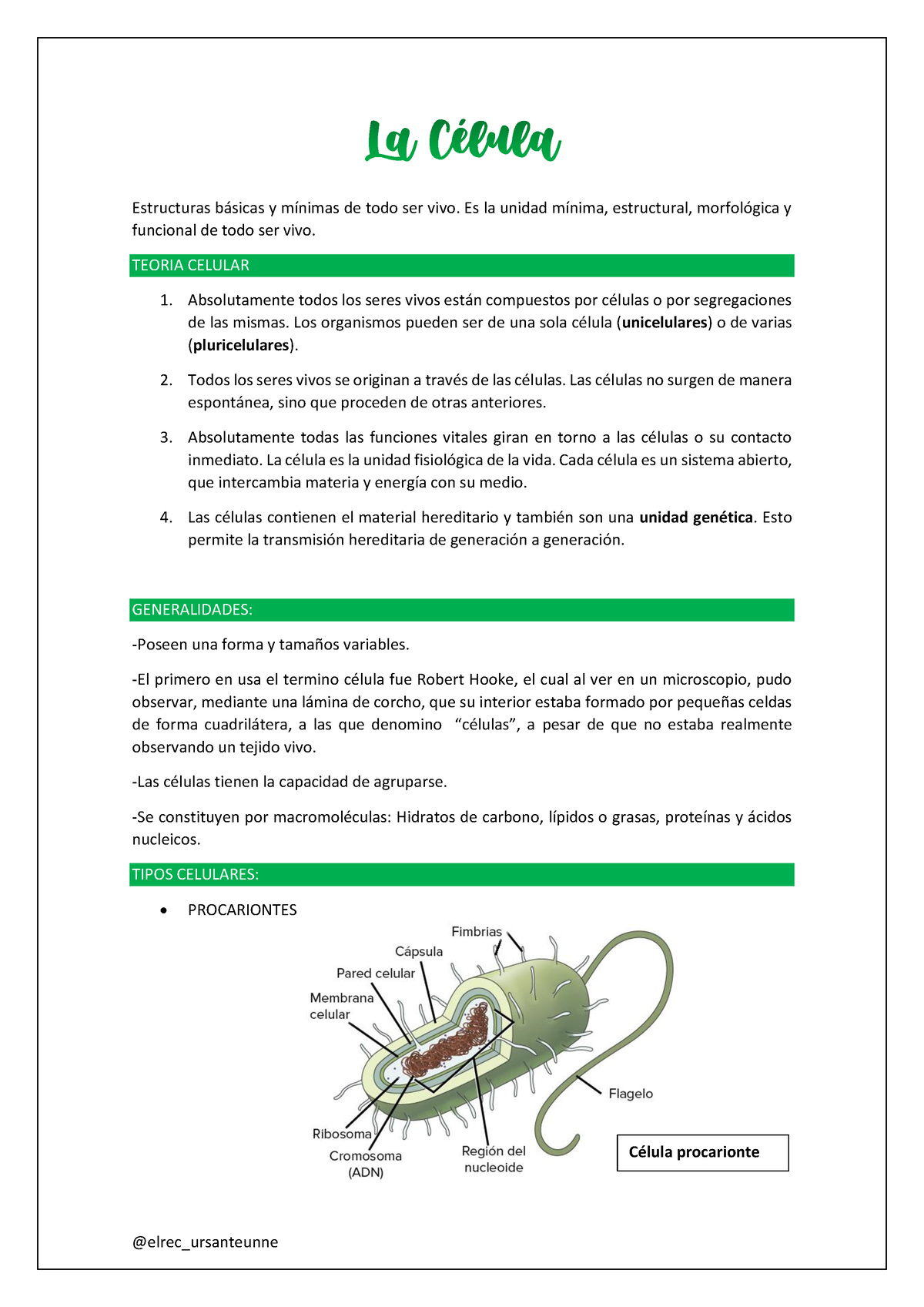 La Célula Y Membrana Plasmática. Generalidades - Estructuras B·sicas Y ...