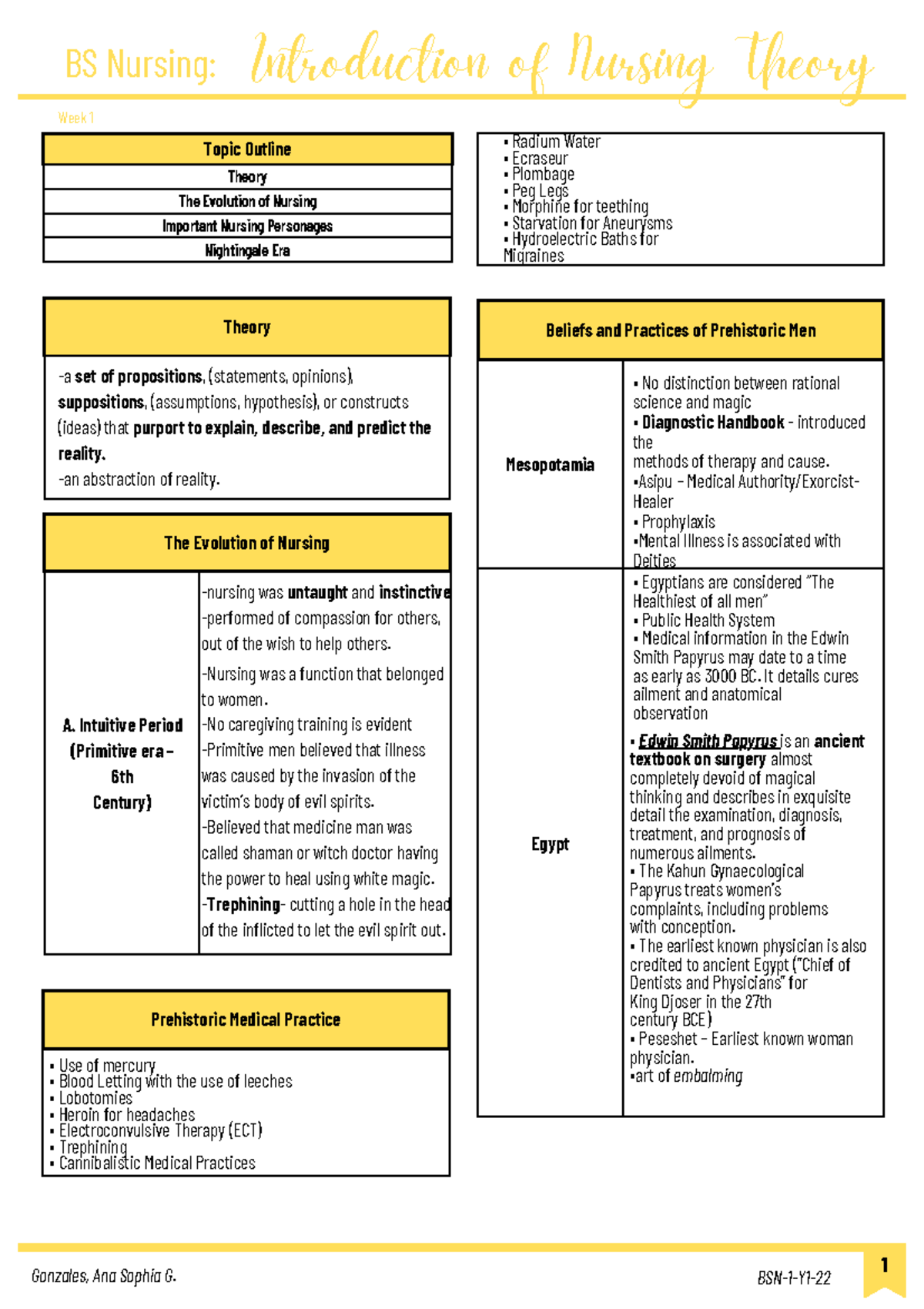 Theoretical Foundation of Nursing Notes - ####### Topic Outline Theory ...
