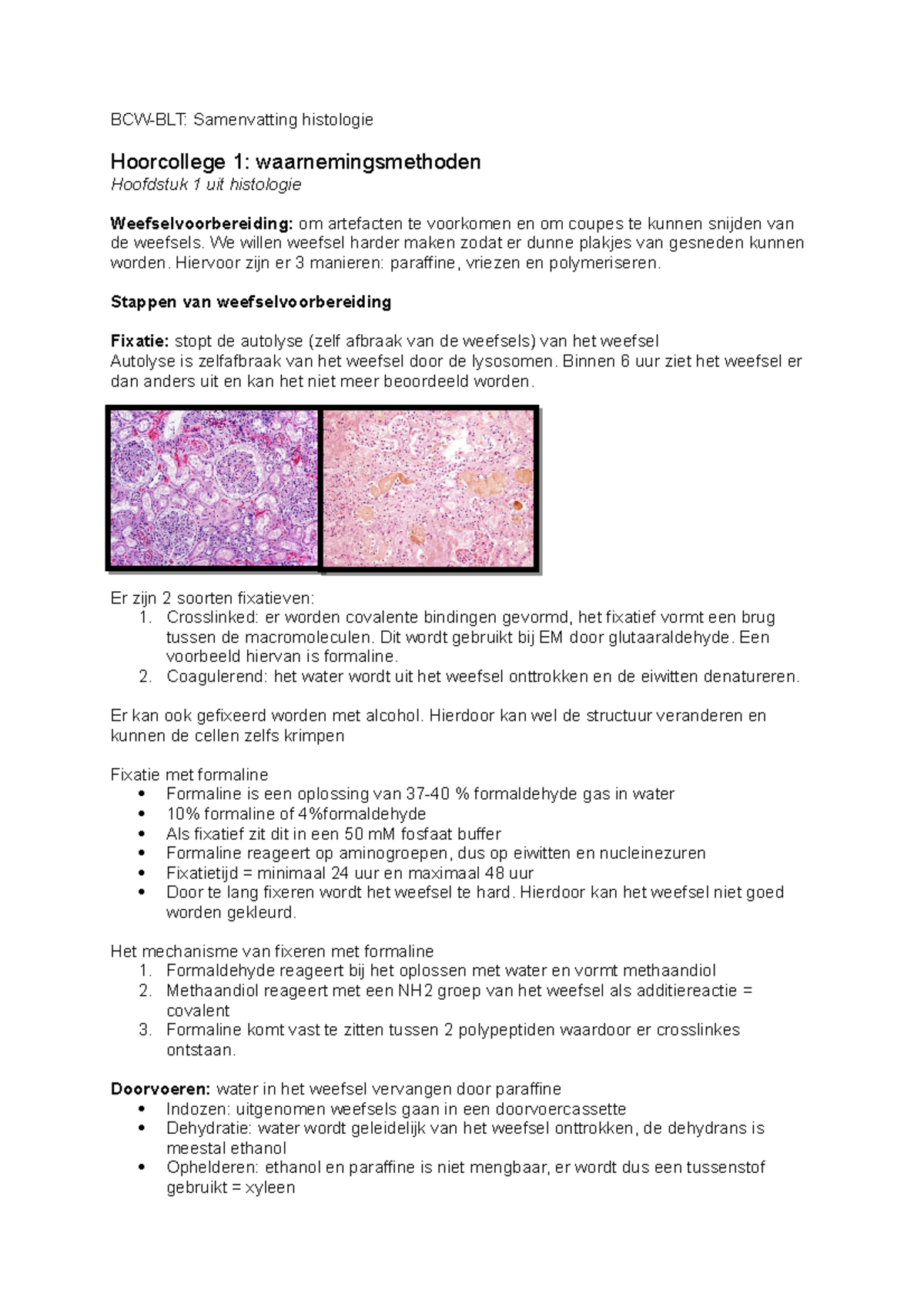 BCW-BLP Samenvatting Histologie - BCW-BLT: Samenvatting Histologie ...