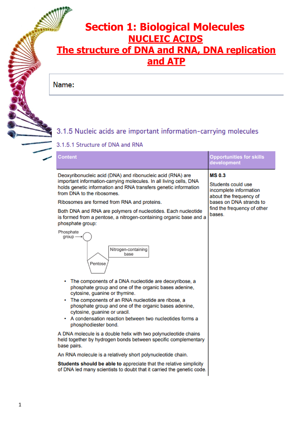 Nucleic Acids Booklet - Section 1 : Biological Molecules NUCLEIC ACIDS ...