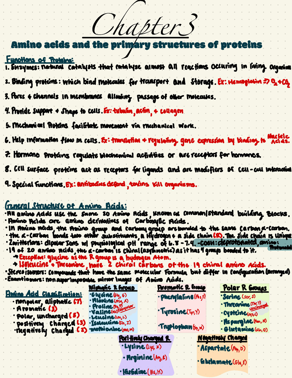 Biochemistry Ch. 3 - Chapter Amino Acids And The Primary Srucures Of ...