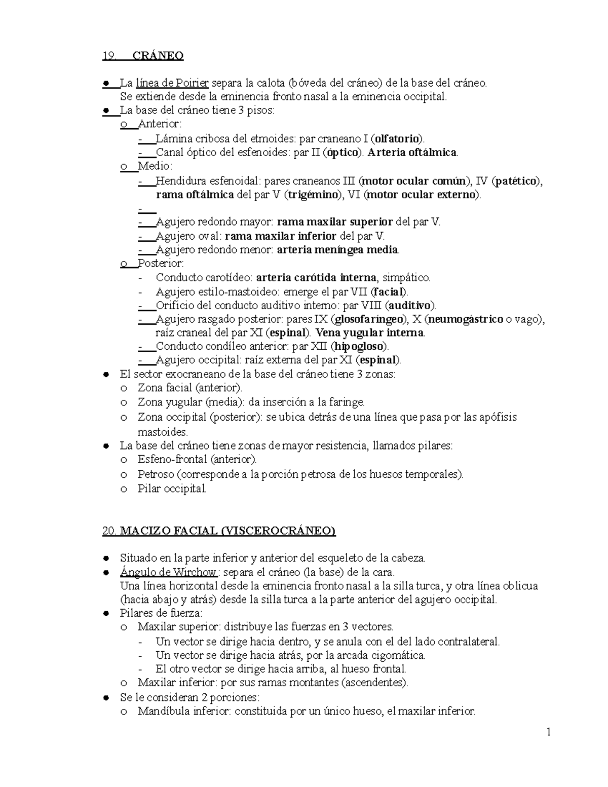 CARA - resumen de cara - 19. CRÁNEO La línea de Poirier separa la ...