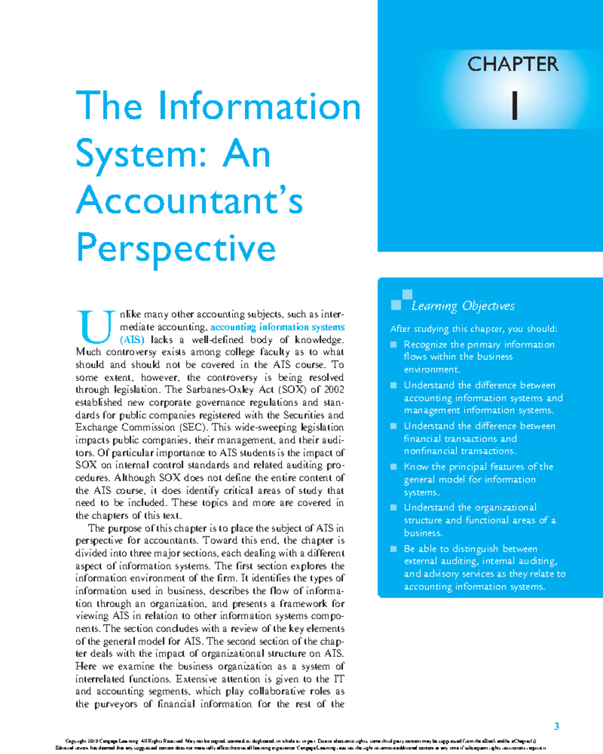 Chapter 1 - The Information An Accountant's Perspectice - CHAPTER The ...