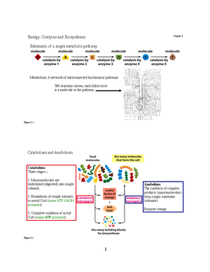 Cell Phys Guide Ch 02 - Cell Physiology Fall 2018 - Bio Chem Chapter 2 ...