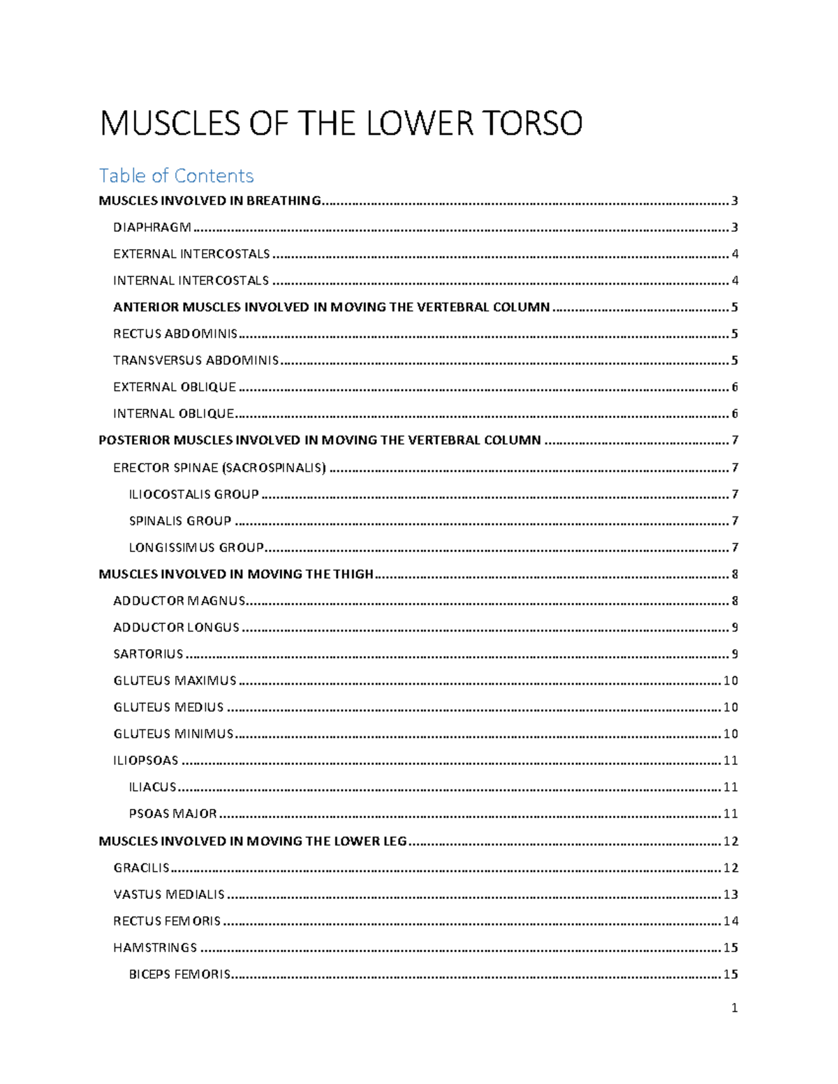 Muscles of the Lower Torso Summer 2020 - Warning: TT: undefined ...