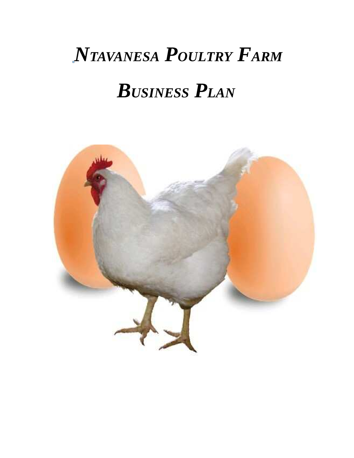 ntavanesa poultry farm business plan