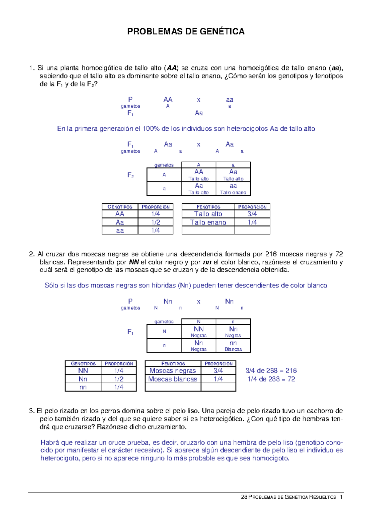 28 Problemas De Genetica Resueltos 4o ESO - PROBLEMAS DE GENÉTICA 1. Si ...