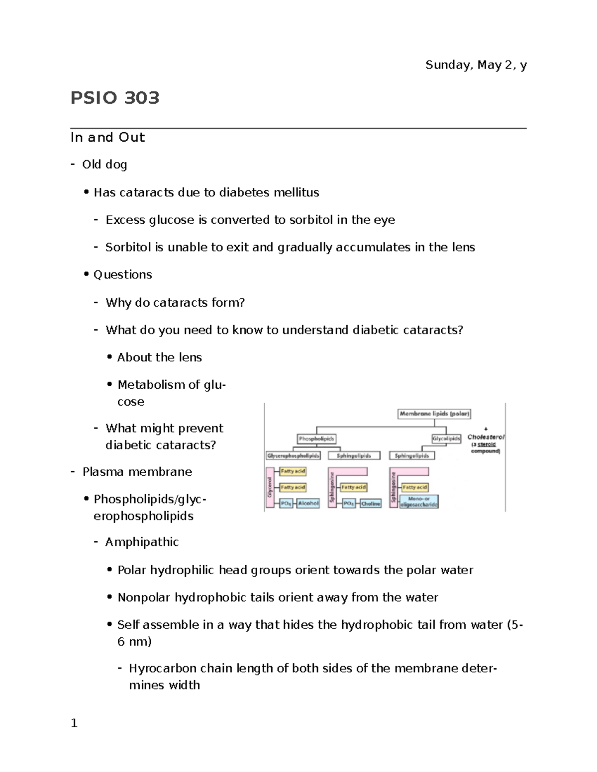 Lecture 2 - In And Out - Sunday, May 2, Y PSIO 303 In And Out Old Dog ...