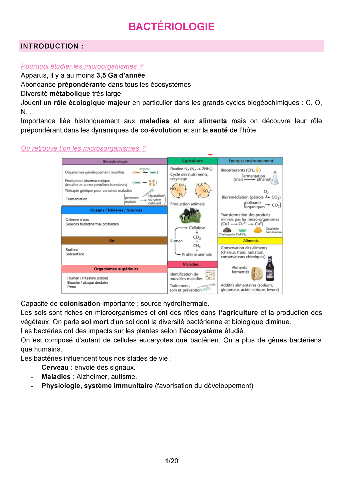 BactéRIO - Bacteriologie L2 BOP-E 2019/2020 - INTRODUCTION : Pourquoi ...