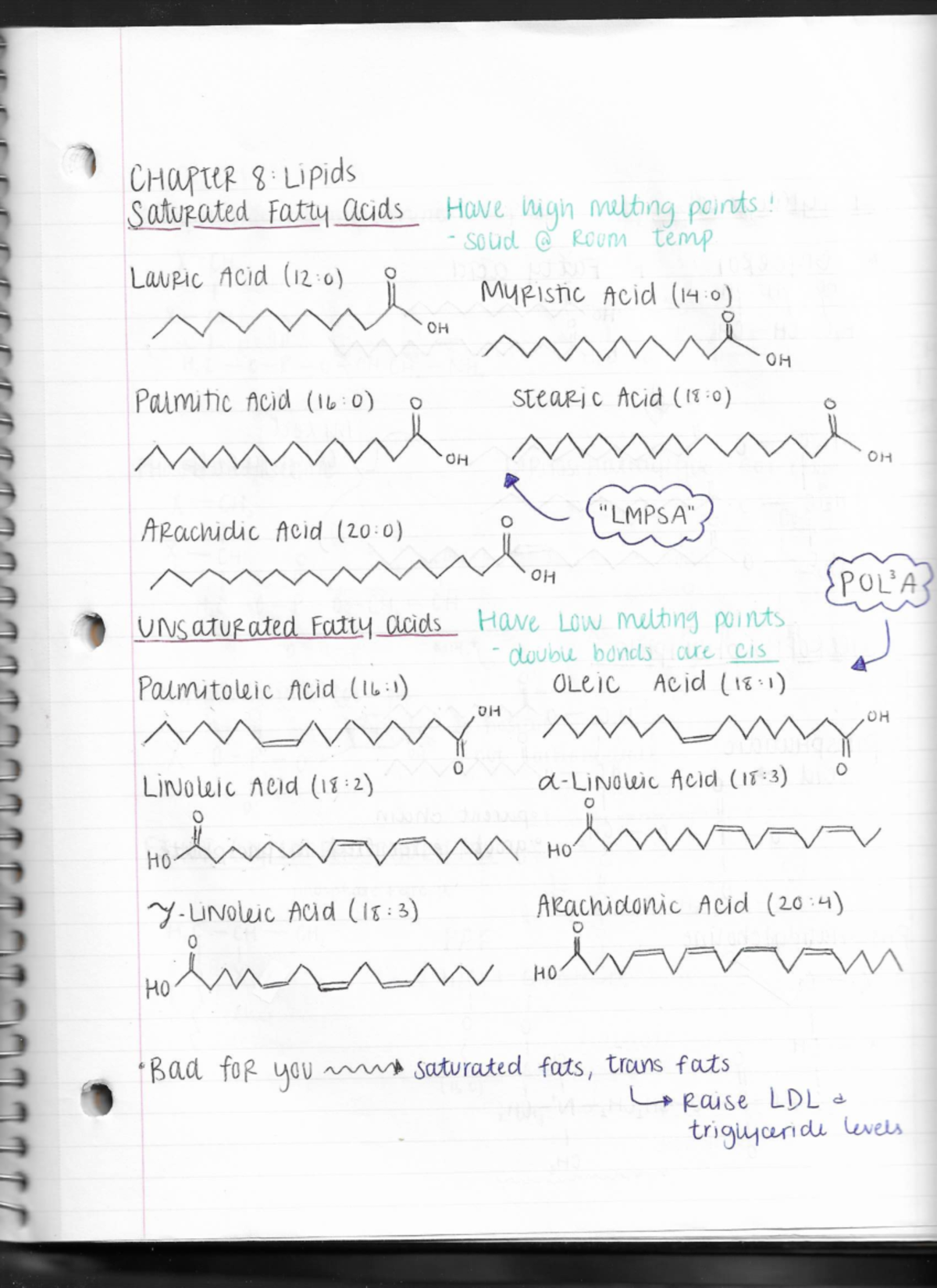 BIOC 4550 Ch 8 Notes - Lipids - 3 CHW°RP$L1pids ' Iajivmm Mm Was Ht.» W ...