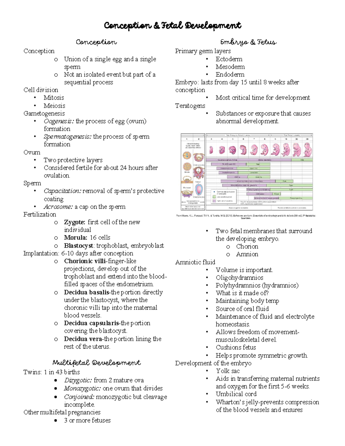 Conception & Fetal Development - Conception & Fetal Development ...