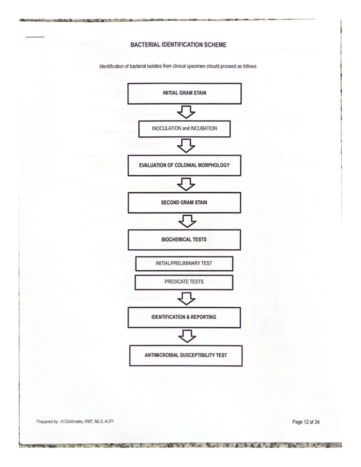 Bacterial- Identification- Scheme - Medical Laboratory Science - Studocu