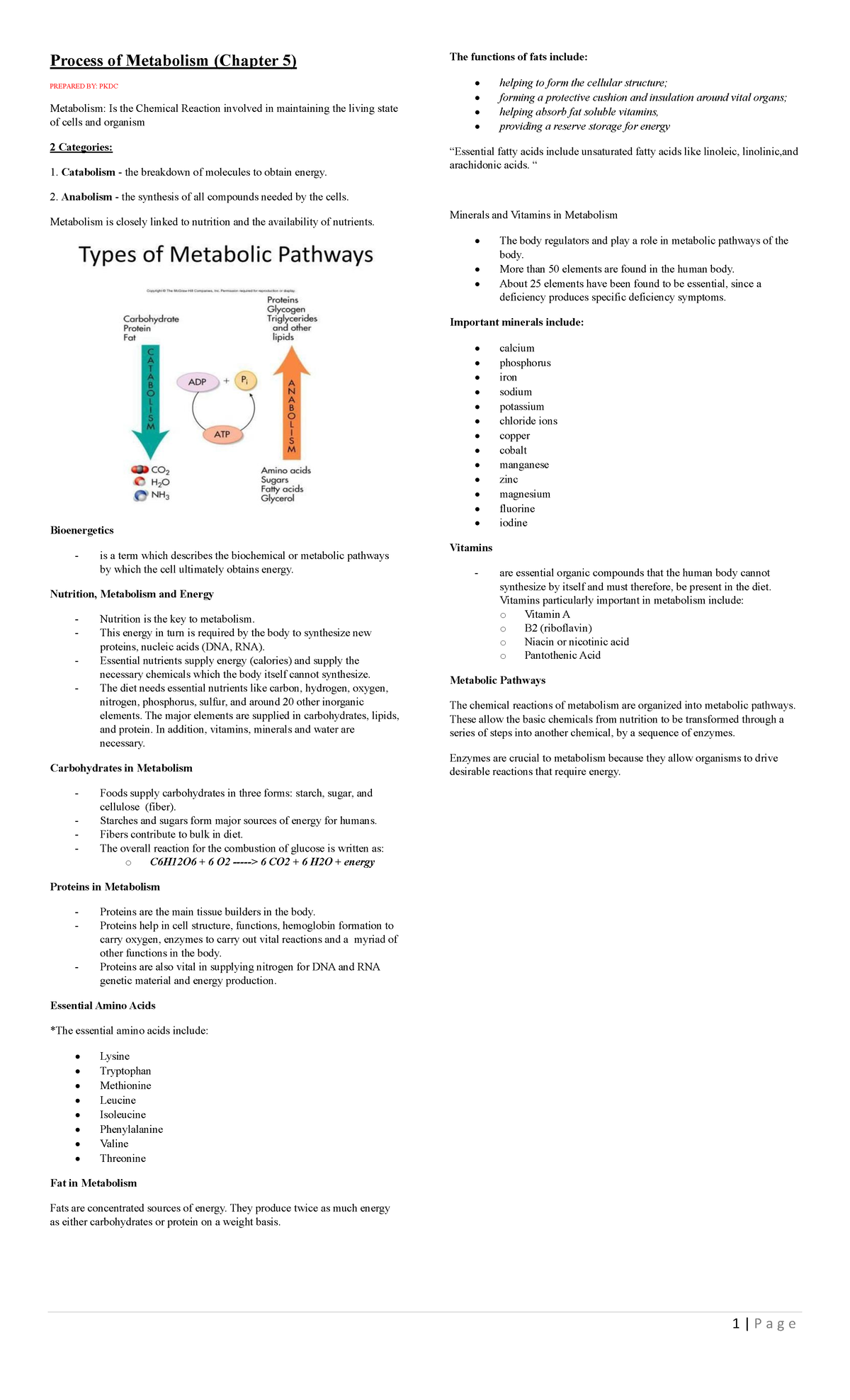 Nutri Diet Chapter 5 and 7 Notes - 1 | P a g e Process of Metabolism ...