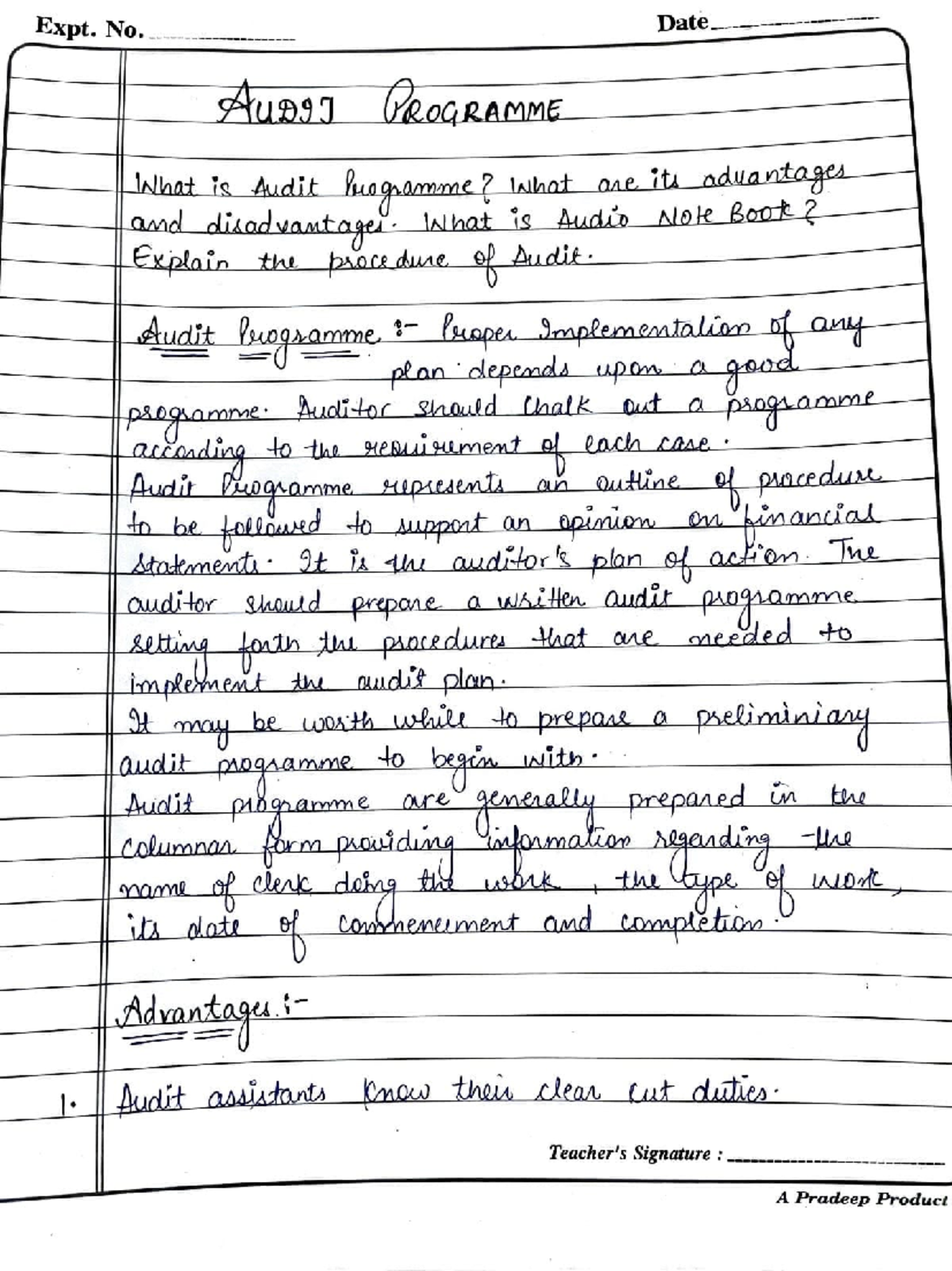 Audit programme and report notes - Professional Ethics And Professional ...
