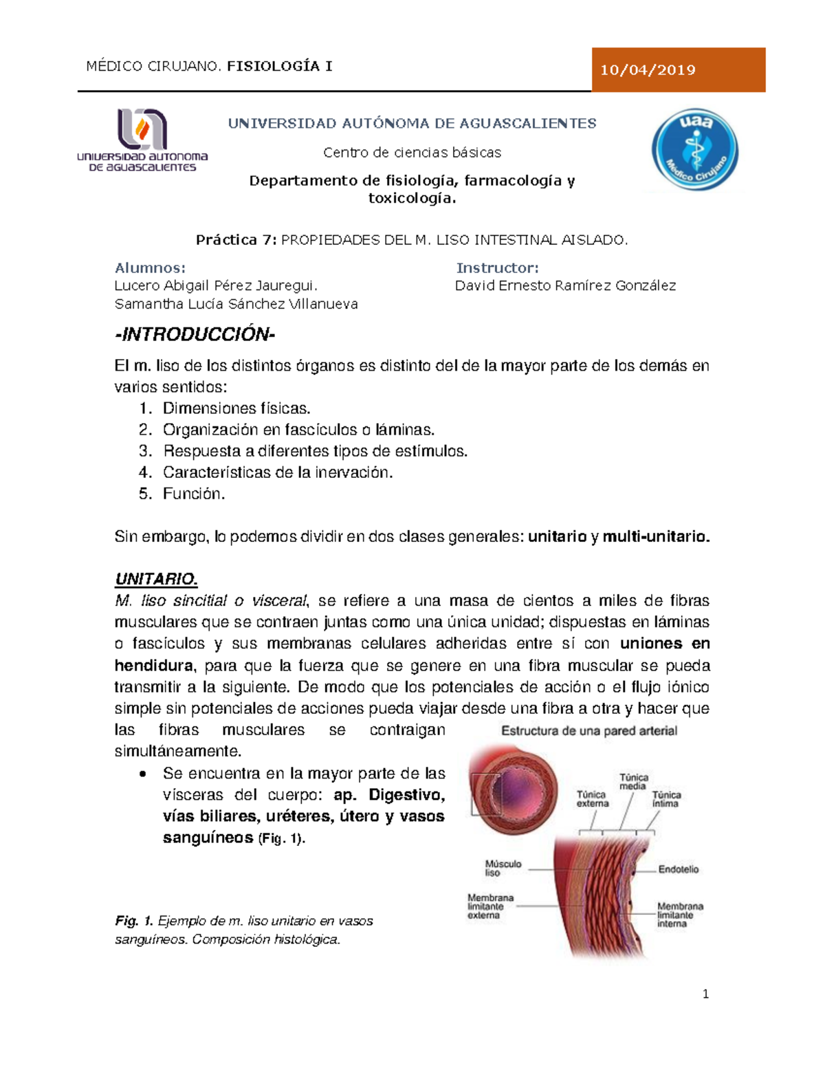 Pr Ctica 7. Musculo Liso Intestinal - Pr·ctica 7: PROPIEDADES DEL M ...